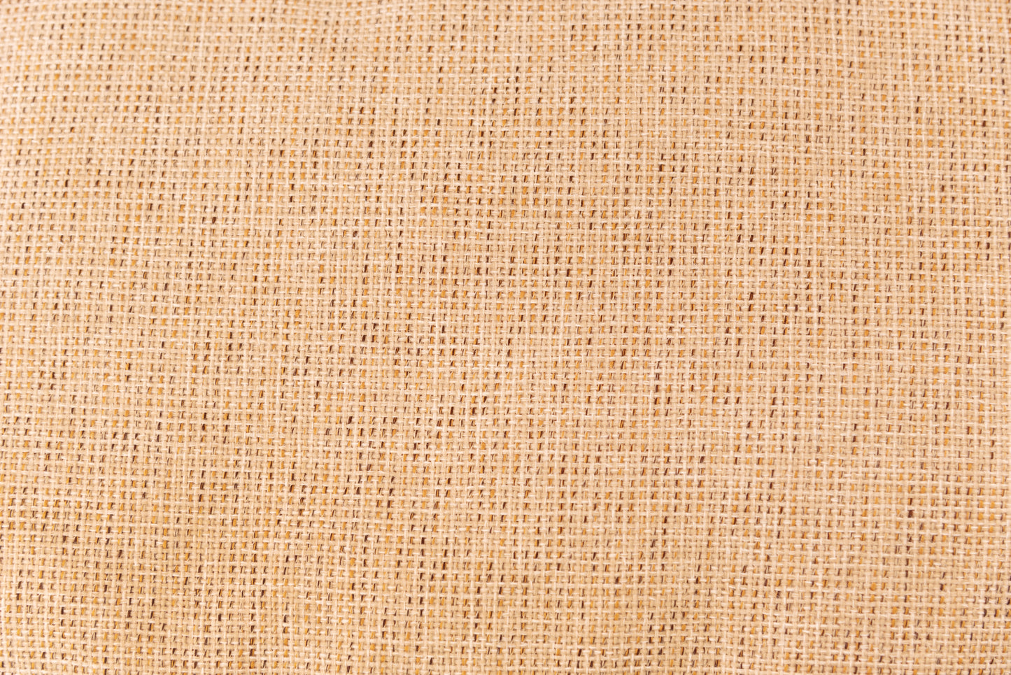 WF-PET-002 / ペット用品 / ベージュ